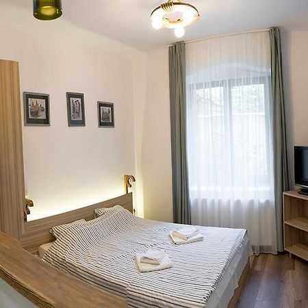 Апартаменты Studio Summer Сибиу Экстерьер фото